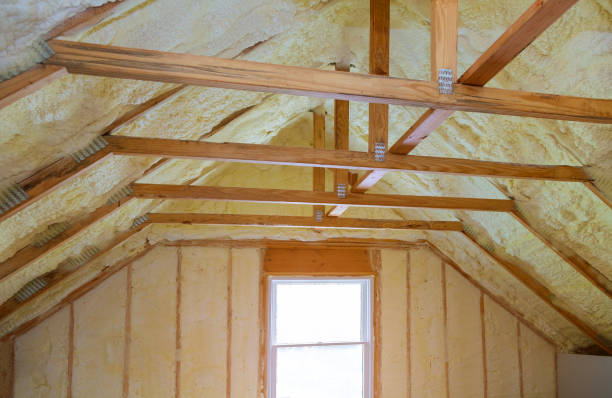 Soundproof Insulation Installation in Zellwood, FL