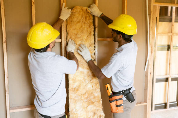 Reliable Zellwood, FL Insulation Contractor Solutions