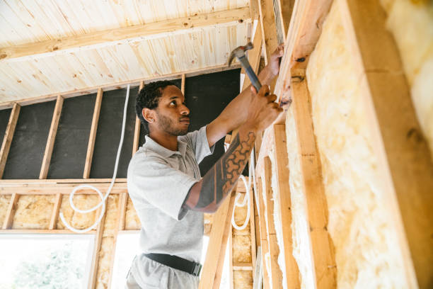 Best Residential Insulation Services  in Zellwood, FL